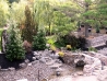 Show Garden 17